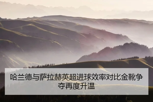 哈兰德与萨拉赫英超进球效率对比金靴争夺再度升温